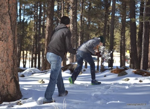 Snowball Fight