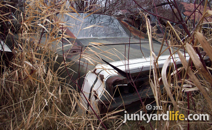 A 1968 Dodge Charger R T is a rare sight at any junkyard