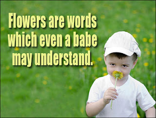 Love Phrases with Flowers