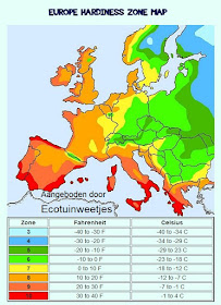 winterharde planten, hardiness, winterhard, zonnecyclus, hardheidszone, zonneminimum, strenge winter, vorst, siertuin, sierplanten