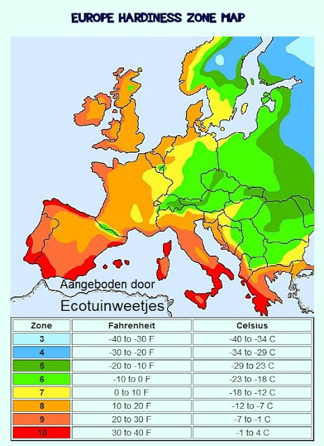 winterharde planten, hardiness, winterhard, zonnecyclus, hardheidszone, zonneminimum, strenge winter, vorst, siertuin, sierplanten