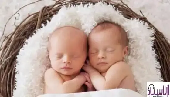 Factors-that-affect-the-chances-of-conceiving-twins