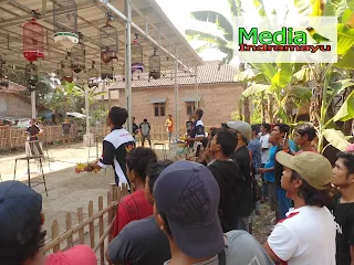 hasil lomba burung klaten, hasil lomba burung terbaru 2018, hasil lomba burung sragen, hasil lomba rajawali indonesia, burung new, jadwal lomba burung, daftar juara bnr semarang, hasil lomba agrobur, daftar juara bnr award 2017, daftar juara lomba burung kapolres cup sragen, kontes burung surabaya, video kontes burung lovebird, kontes burung murai, kontes burung anis, kontes burung kacer, kontes burung pleci, kontes burung kenari, kontes burung merpati, kontes burung konin, hasil lomba piala kapolres metro jakarta selatan, piala kapolres metro jakarta selatan, daftar juara piala kapolres metro jakarta selatan, daftar pemenang piala kapolres metro jakarta selatan, lovebird, burung lovebird, latber kasab bc, kasab bc, lokasi gantangan kasab bc, lokasi lapangan kasab bc, alamat kasab bc, jadwal latber kasab bc, jadwal latpres kasab bc, latpres kasab bc, pemenang latber kasab bc, pemenang latpres kasab bc, daftar juara latber kasab bc, daftar juara latpres kasab bc, daftar pemenang latber kasab bc, daftar pemenang latpres kasab bc, lovebird ncun ring sakti, lovebird anggun, lovebird sanca jr, kontes burung, kontes burung indramayu, kontes burung di indramayu, lomba burung indramayu, lomba burung di indramayu, hasil lomba latber lbc, daftar juara latber lbc, daftar pemenang latber lbc, daftar nama nama pemenang latber lbc, hasil lomba latpres lbc, daftar juara latpres lbc, daftar pemenang latpres lbc, piala kapolsek cup, piala kapolsek cup lbc, daftar juara piala kapolsek cup lbc, daftar pemenang piala kapolsek cup lbc, daftar nama pemenang piala kapolsek cup lbc, hasil lomba piala kapolsek cup, hasil lomba piala kapolsek cup lbc