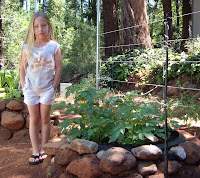 vegetables,flowers,landscaping