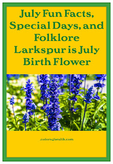 Larkspur is a birth flower for July