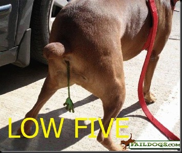 faildogs-lowfive