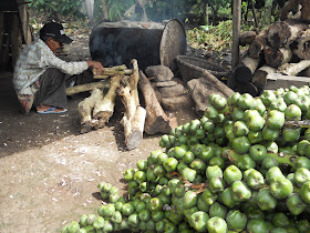 Potret Pembuat Kolang Kaling Pengolahan Buah Aren