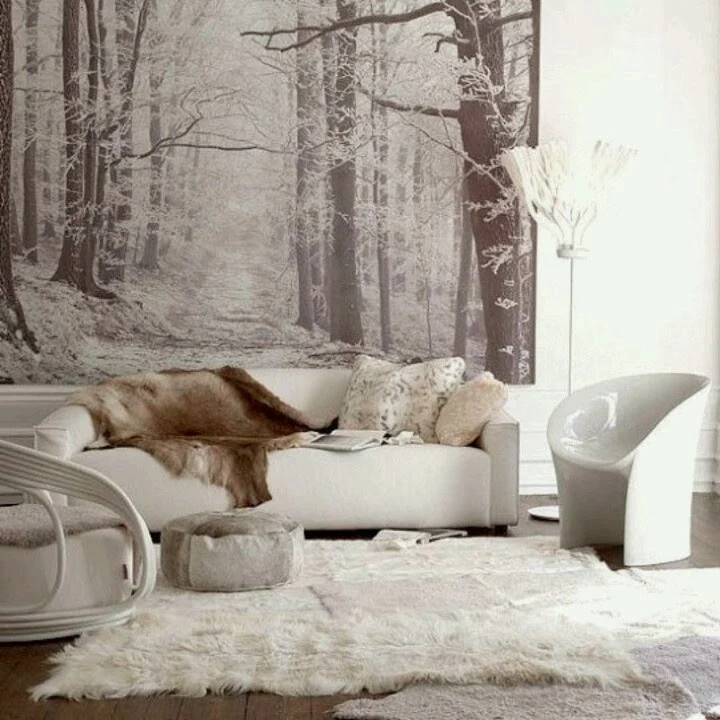 Dream living room