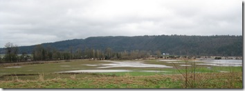 2009 - winter 005