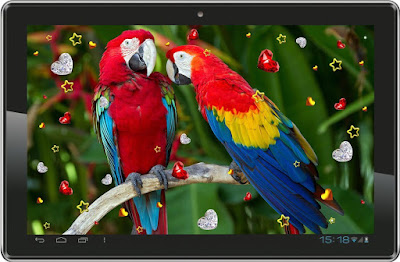  new hd 2016Parrot Live Wallpaper photo,free download 60