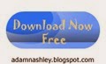 Download-Button