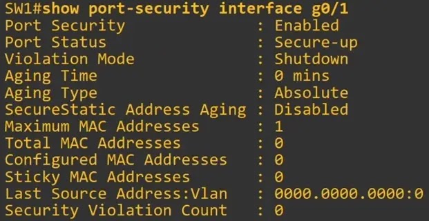 show port security interface default settings