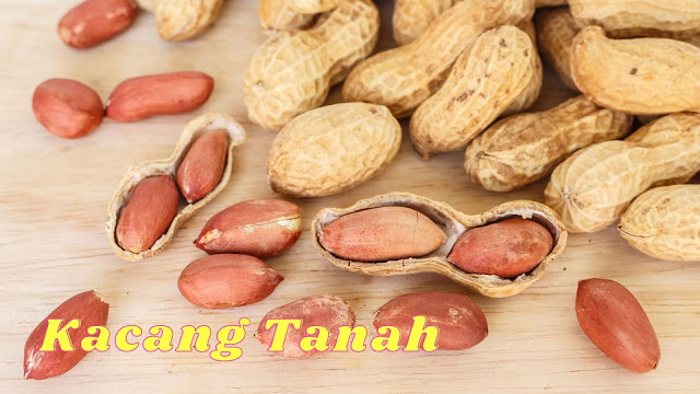 Kacang Tanah