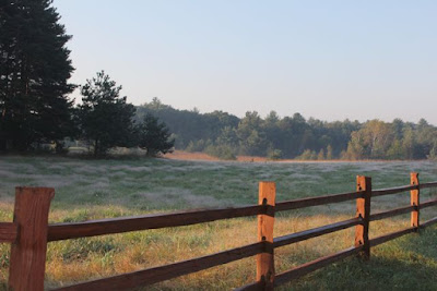 calm, dew-covered fields