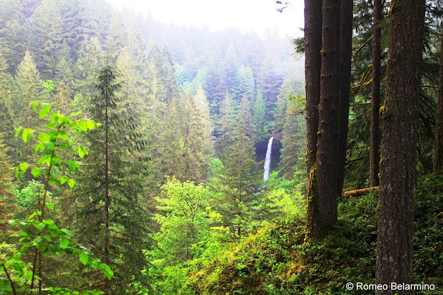 Silver Falls State Park, Silverton, Oregon