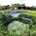 CONSTRUÍDO NO MEIO DA FLORESTA, HOTEL ESTÁ ABANDONADO