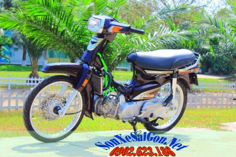 Một số mẫu sơn xe Honda Dream đẹp