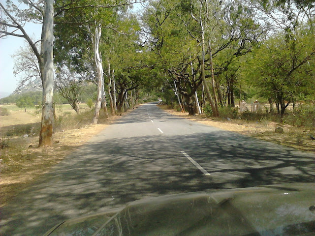  Its ideal for a 24-hour interval trip or a weekend trip IndiabesttravelMap; Horsley Hills - Road Trip from Bangalore