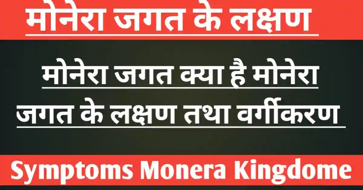 मोनेरा जगत के लक्षण