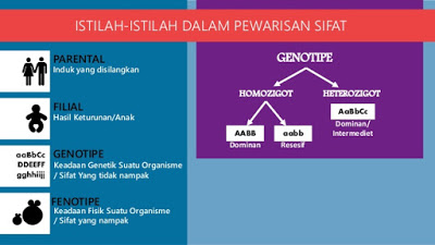 Soal Pewarisan Sifat IPA Kelas IX 6 10 FISIKA CERIA