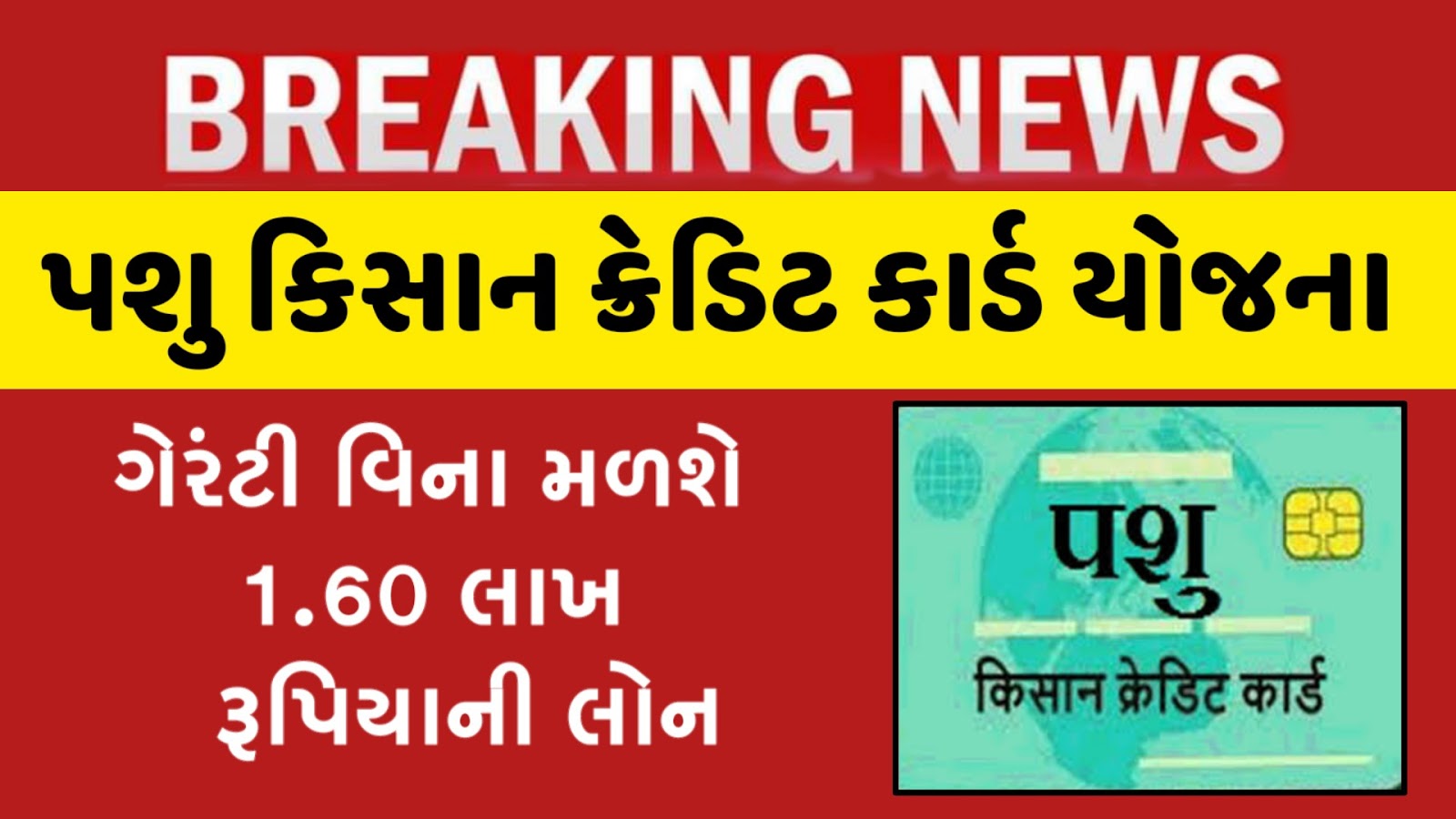 Apply For Pashu Kisan Credit Card Gujarati News