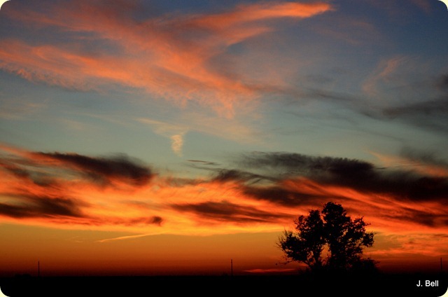 IMG_7378 IMG_7378