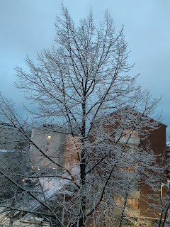 Ikkunan ulkopuolella puu, jonka oksilla ohut lumikerros. Taustalla kerrostaloja pihoineen