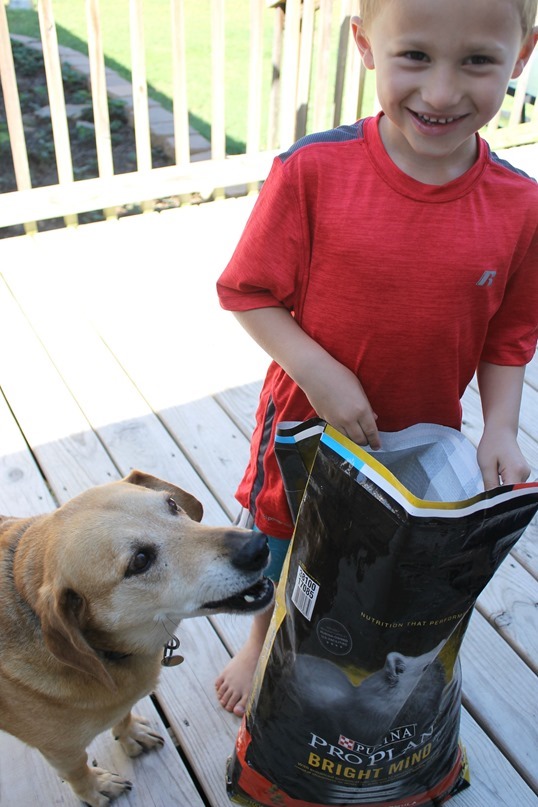 baxter dog food