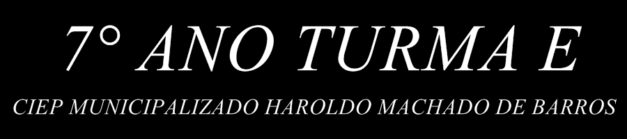 7° ano turma e