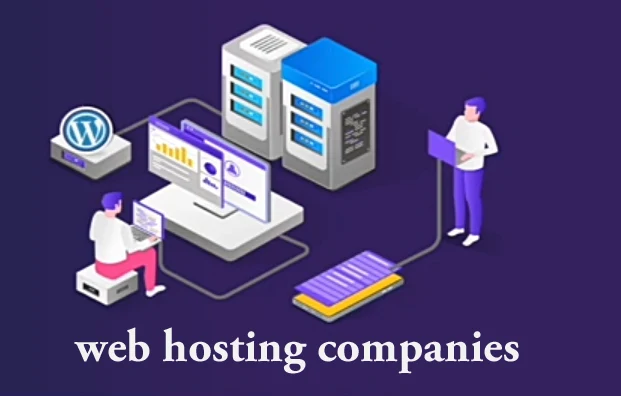 Website hosting companies: types, advantages and disadvantages