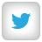 social media icon button for twitter