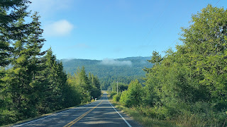 Olympic National Park - facts, Attractions & tourist information