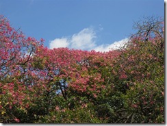 13febrero2011 019