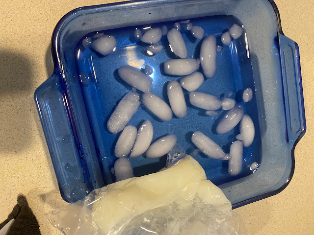 pan of ice water with a bag filled with shortening to represent whale blubber