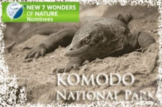 Report Text - Komodo Dragon (Varanus Komodoensis)