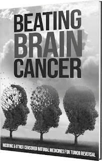 Beating Brain Cancer ebook