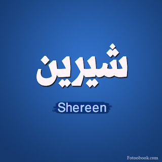 ala-meen-song-lyrics-shereen كلمات اغنية على مين الملامة - شيرين عبد الوهاب 2015