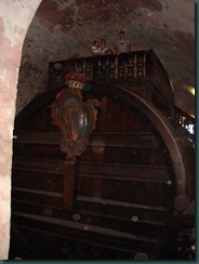 DSC02769