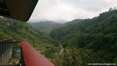 bencab museum baguio viewing terrace