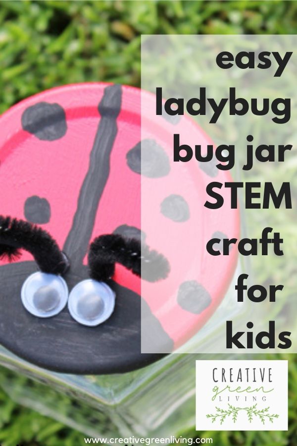 How to Make a Ladybug Bug Catcher from a Recycled Jar