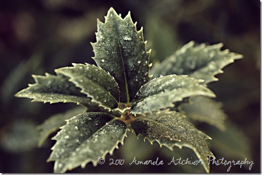 IMG_6776edit