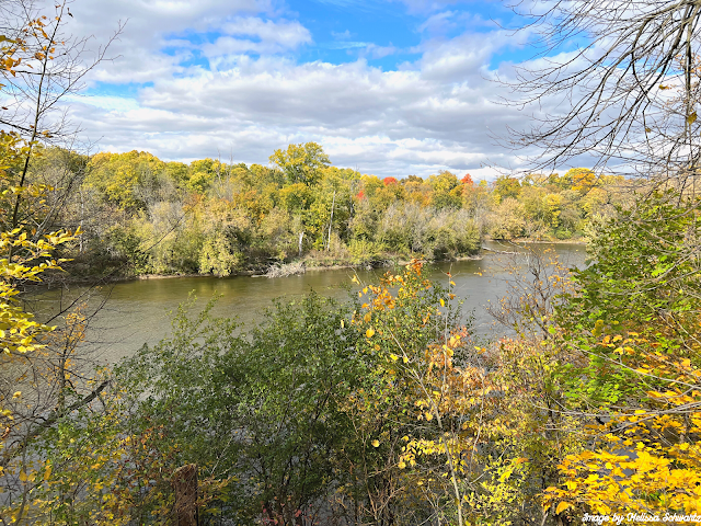 The Fox River gently flows through the fall forest.