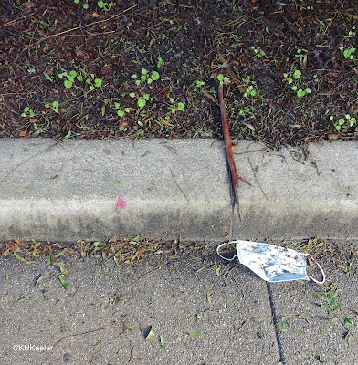 Mask in gutter, San Francisco