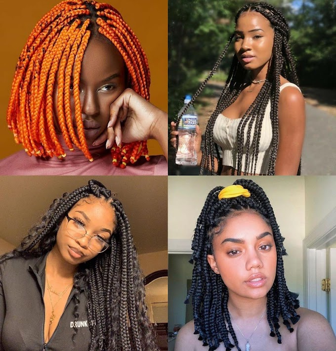 8 DIFFERENT TYPES OF BOX BRAIDS TO CHOOSE FROM (protective styles).