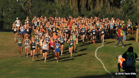 FHSAA 4A High School Girls' Cross-Country State Championship