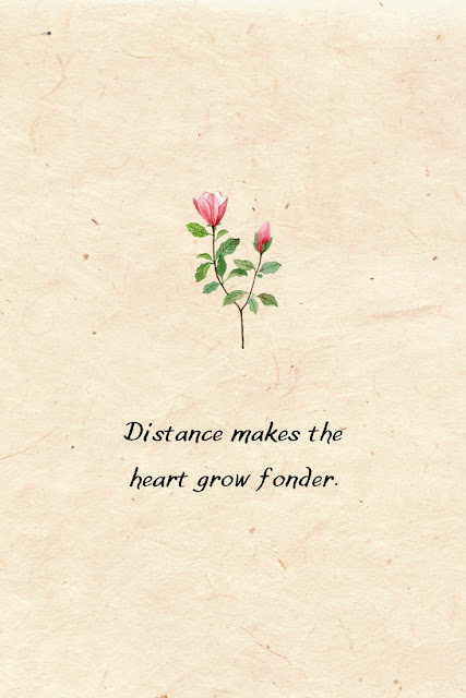 Relationship Quotes - Distance makes the heart grow fonder.