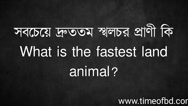 সবচেয়ে দ্রুততম স্থলচর প্রাণী কি | What is the fastest land animal?