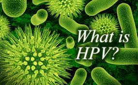 hpv