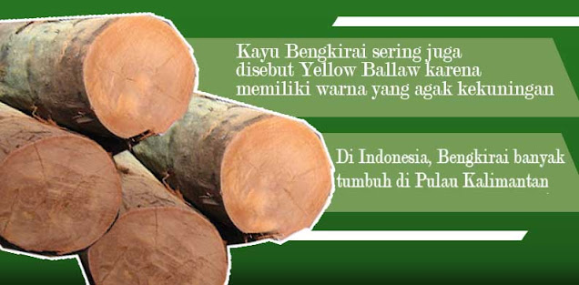 Karakteristik kayu Bengkirai