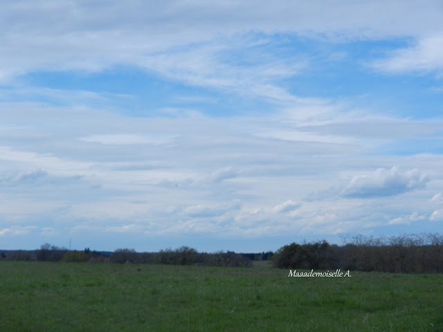 France - Centre - Cher - Campagne